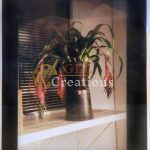 Bulburgia 5x7 Photo 6883578688 O