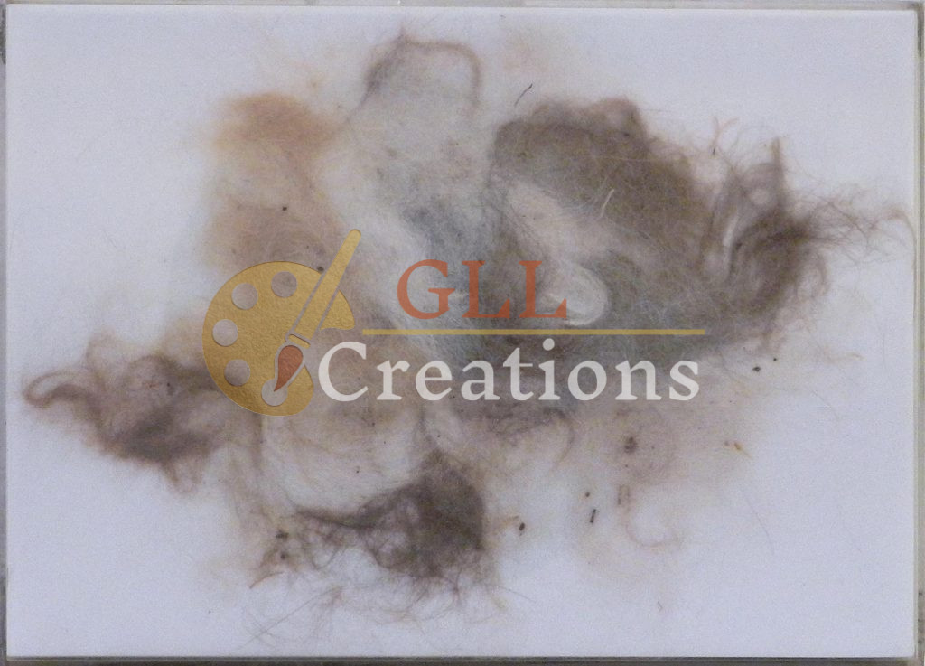 Gateado Cats Fur Assemblage 6883571988 O