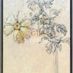 Matilija Poppies 8536277501 O Scaled