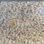 Metamorphosis 24x30 Salem Strata Assemblage 7029615419 O