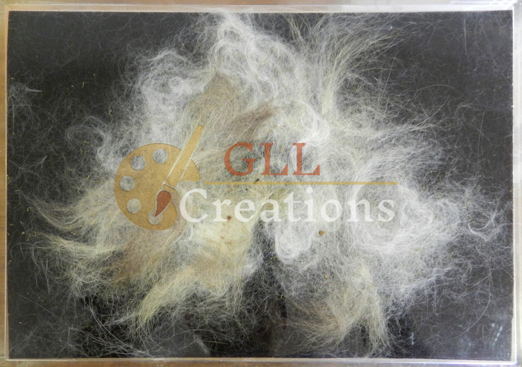 Collected Strands