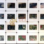 Untitled 24 Painted Slides 6883580464 O Scaled