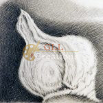 Untitled Pencil Drawing 6883601384 O Scaled