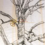 Untitled Tree Line Drawing 7029687507 O Scaled